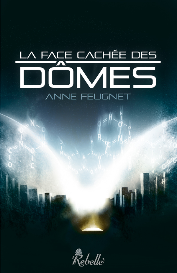 la Face cachee des domes